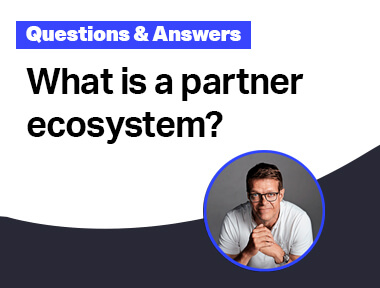 What is a partner ecosystem?